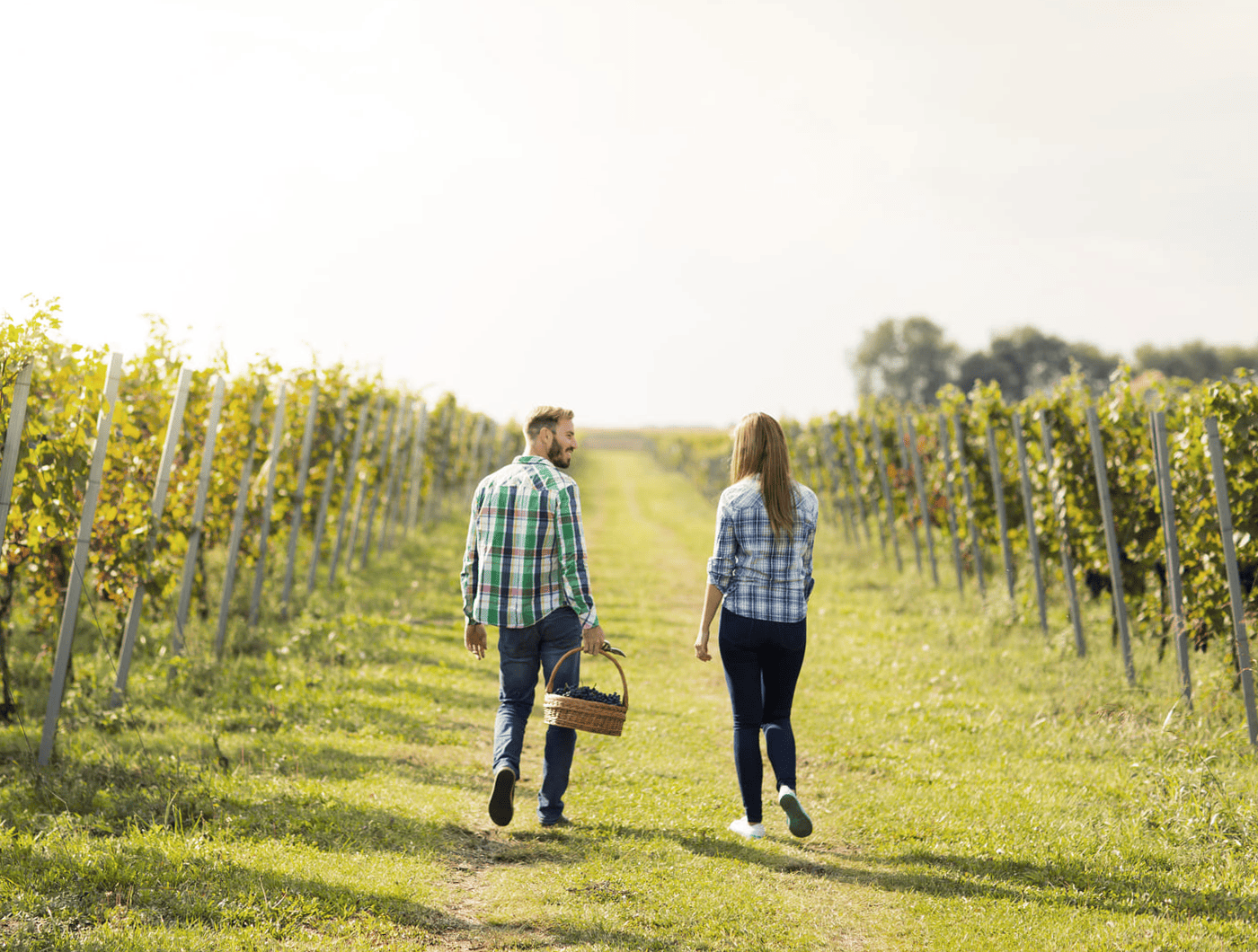 Ein Winzerpaar geht im Weinberg spazieren